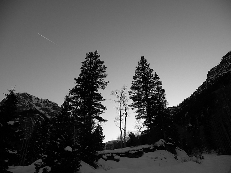 Sentinel Trees Camp Bird Mine Road, Ouray, San Juan Mountains, Colorado, Darron Jacobs, Fine Art, Mountain, Photography
