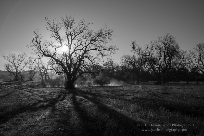 This is a great addition to my Texas Classic Landscape Views series, especially being in black and white.